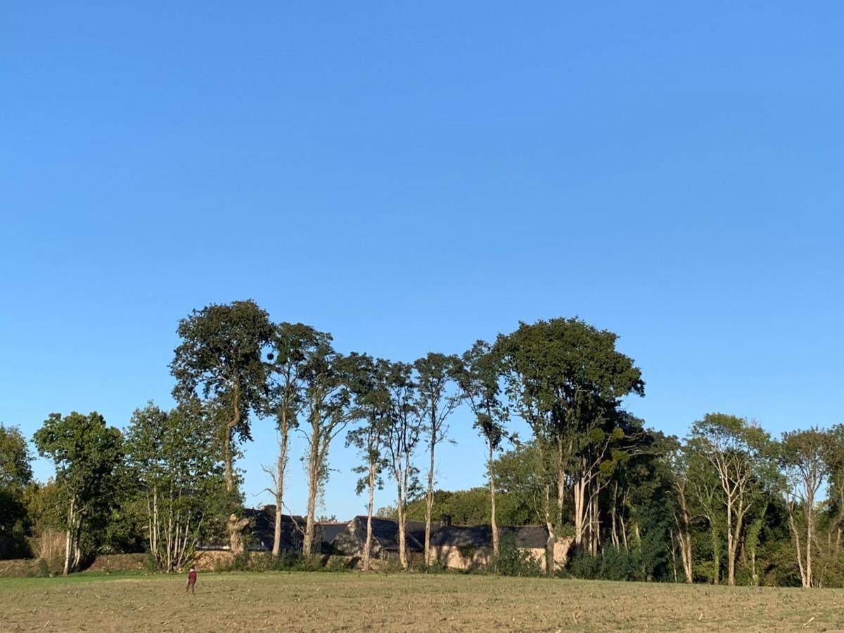 Jolie Metairie D'Une Seigneurie Bretonne. Peaule المظهر الخارجي الصورة